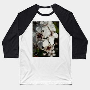 Manuka flowers Baseball T-Shirt